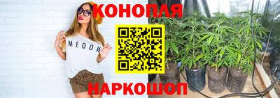 spice Тулун