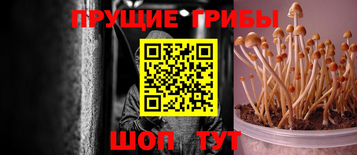 Псилоцибиновые грибы ЛСД  Вход с VPN  Мариинск 