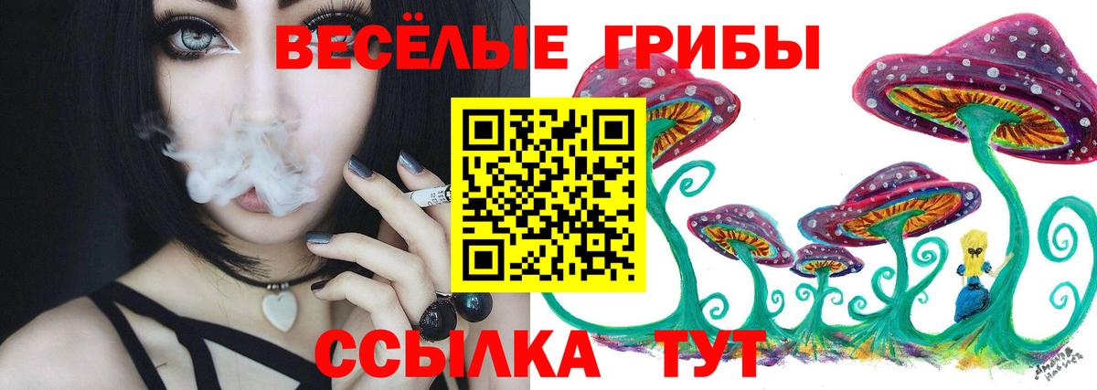 Псилоцибиновые грибы Psilocybine cubensis Мариинск